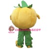 Halloween Pumpkin Mascot Costume Vegetable Costume for Adult