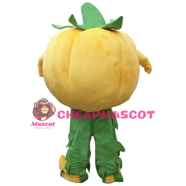 Halloween Pumpkin Mascot Costume Vegetable Costume for Adult