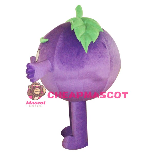 A Grape Mascot Costume Baddy Vegetable Costume for Adult