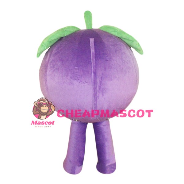 A Grape Mascot Costume Baddy Vegetable Costume for Adult