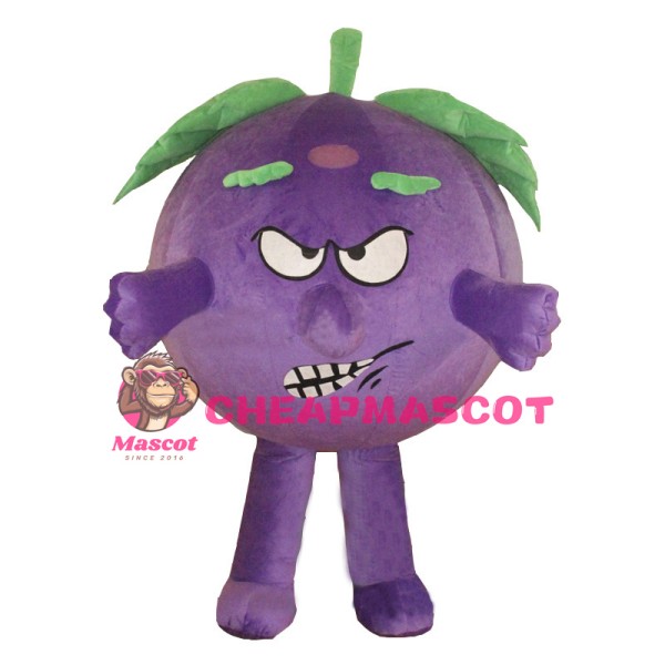 A Grape Mascot Costume Baddy Vegetable Costume for Adult