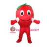 Red Apple Mascot Costume