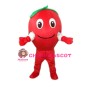 Red Apple Mascot Costume