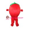 Red Apple Mascot Costume