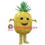 Hot Pineapple Mascot Costume