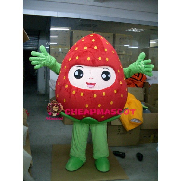 Strawberry Mascot Costume