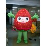 Strawberry Mascot Costume