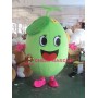 Melon Mascot Costume
