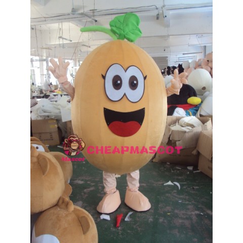Cantaloupe Mascot Costume