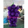 Grape Mascot Costume