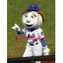 Women Mets mascot costumes