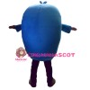 Blue Dolphin Mascot Costumes