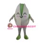Pistachio Mascot Costumes