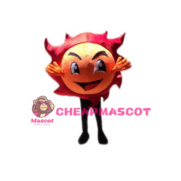 Sun Mascot Costumes