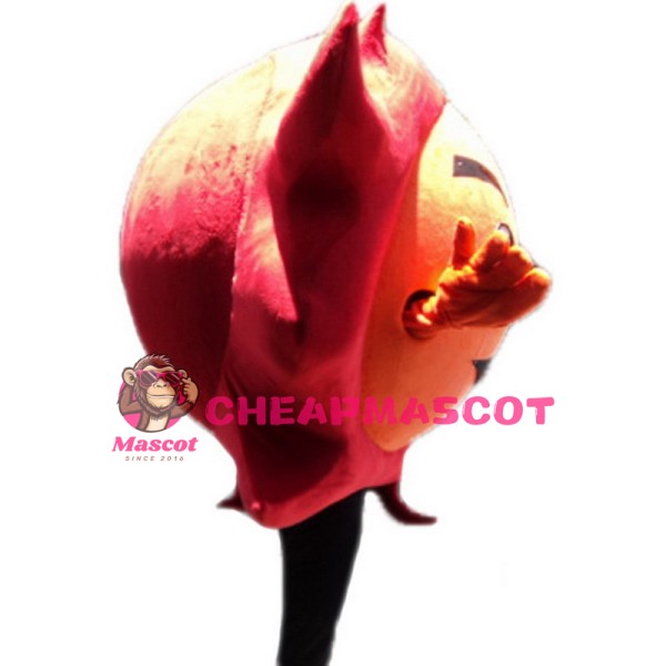 Sun Mascot Costumes