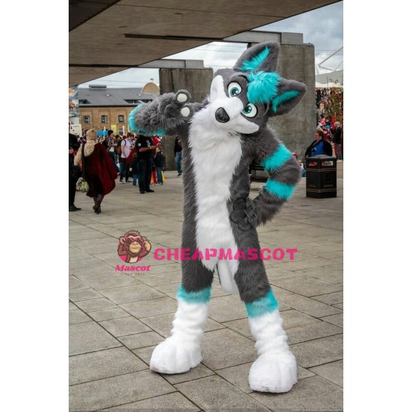 Gray & Blue Husky Mascot Costume