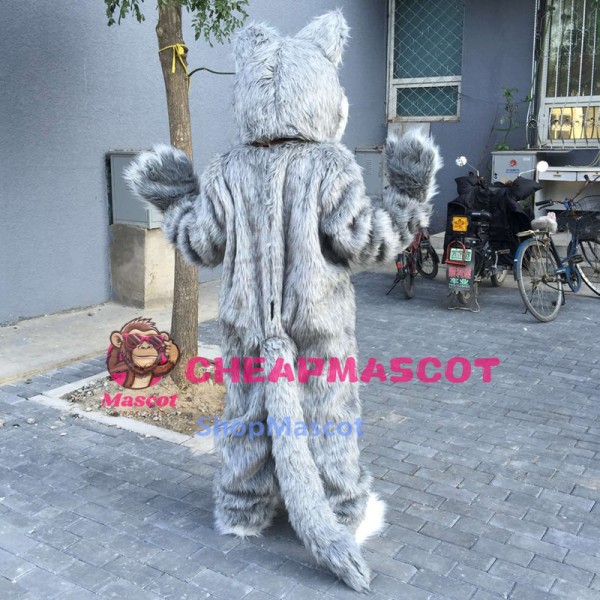 Long Gray Wolf Mascot Costume
