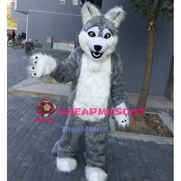 Long Gray Wolf Mascot Costume