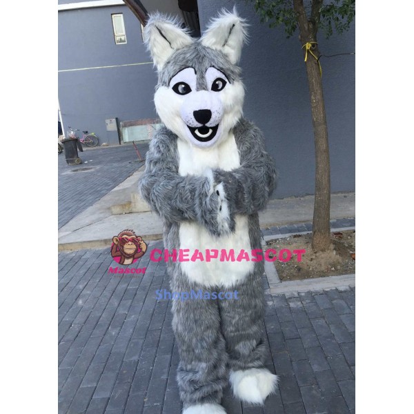 Long Gray Wolf Mascot Costume