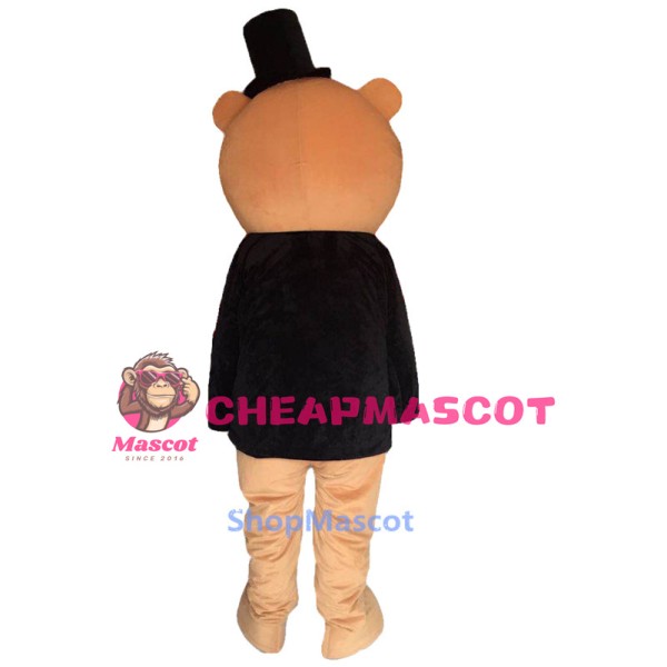 Teddy Bear Mascot Costumes