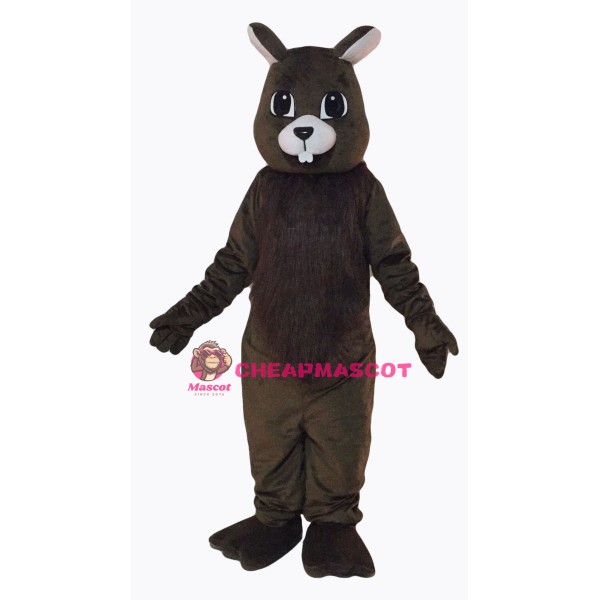 Brown Squirrel Mascot Costume